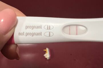 Due February 2026 ✨