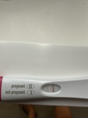 Tw: faint BFP 8.5dp5dt