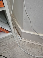 Damp damaging scotia