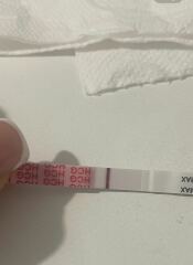 May 2025 TTC Support Thread #2!