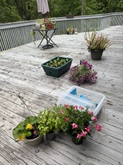 Come and tell us your dull and unexciting news 33: Calmly through the day