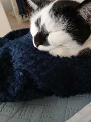 Mounjaro/Wegovy with > 5st/30kg to lose:  Thread 7