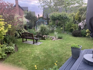 The Bluestocking Women's Pub, where brains can exist in a single state