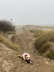 Daily Project round 7