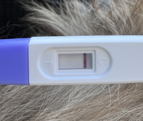 May 2025 TTC Support Thread #2!