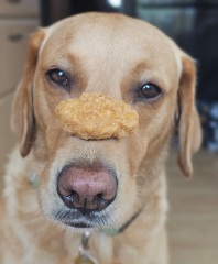 May Starters Thread 2 ~ heading into summer!