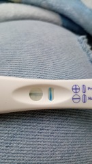 Clear blue test. Evap line or positive