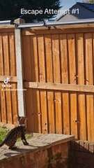 Was neighbour BU?