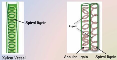 Thread 17 - TalkLair: "Okay, first of all, what's with the outfit? Live in the now, okay? You look like DeBarge."