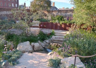 The Bluestocking Women’s Pub - The Return of Salad and the Lion