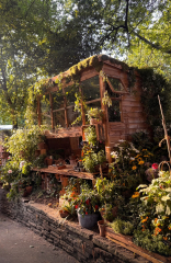 RHS Chelsea 2025