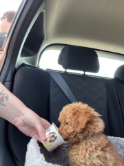 Bonnie is home!