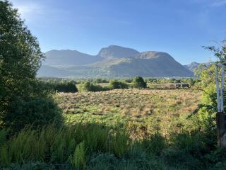 The Bluestocking Women's Pub, where brains can exist in a single state