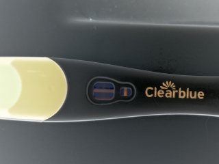 Friendly/supportive/sensitive thread 🌱