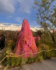 RHS Chelsea 2025