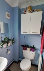 Help me with this ugly bathroom! Pics attached