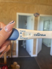 Heavy, larger and sore boobs -potentially pregnant
