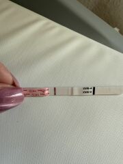 May 2025 TTC Support Group