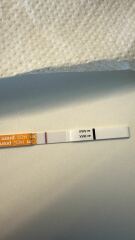 May 2025 TTC Support Thread #2!