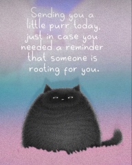 Roond and roond and up and doon - the Excellent Cats roam aboot