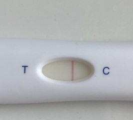 May 2025 TTC Support Thread #2!