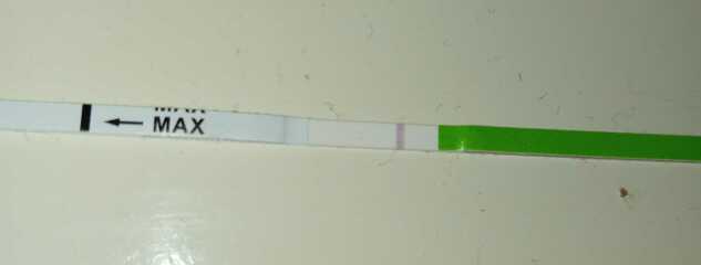 May 2025 TTC Support Group