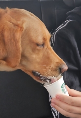 May Starters Thread 2 ~ heading into summer!