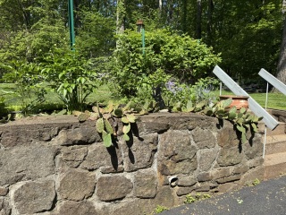 Come and tell us your dull and unexciting news 33: Calmly through the day