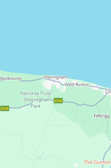 The Bluestocking Women’s Pub - The Return of Salad and the Lion