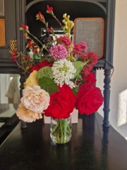 Which rose has bloomed first in your garden?