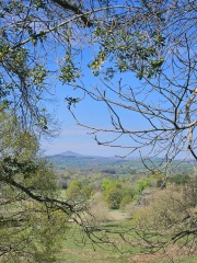 Year round Nigel Slater discussion thread Part 2