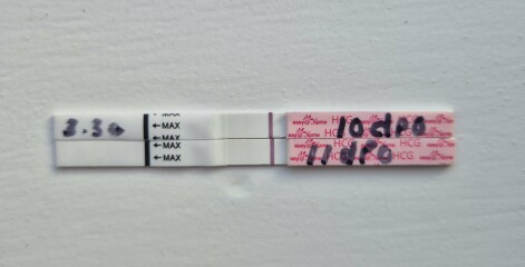 In the dreaded 2 week wait