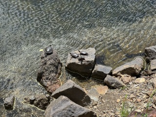 Come and tell us your dull and unexciting news 33: Calmly through the day