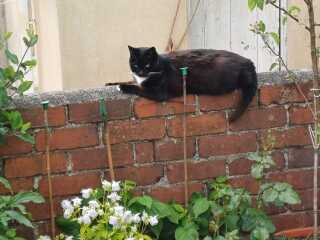 The Bluestocking Women's Pub, where brains can exist in a single state