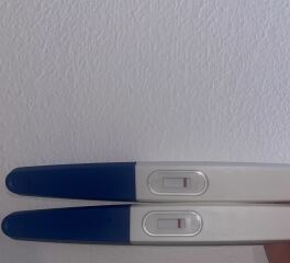 May 2025 TTC Support Thread #2!