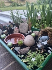 What have you done in the garden today? Part 7