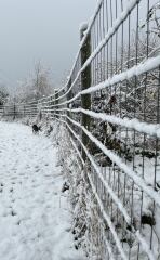 Safety concern at private dog field