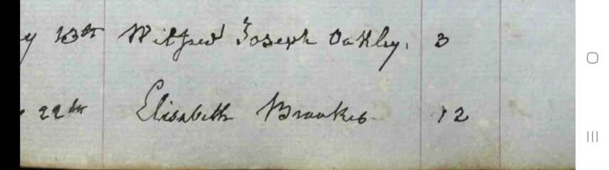Anybody want to help me decipher this 1880s hand writing?