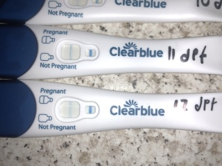 Had embryo transfer, worried blue line is fading