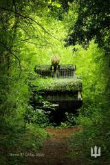 Ukraine Invasion: Part 56