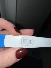 Vfp before bed last night. But 2 negatives this morning? So confused