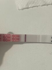 May 2025 TTC Support Thread #2!