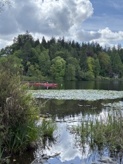 Daily Project round 7