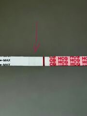 June 2025 TTC Support Thread