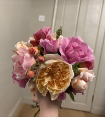 Show Us Your Photos