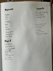 Any Witches Here? Part 21