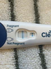 Due January 2026 ✨