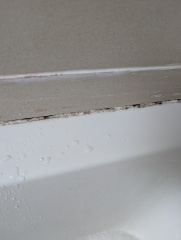 How to get of disgusting black mould in bathroom with pics