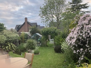 The Bluestocking Women's Pub, where brains can exist in a single state