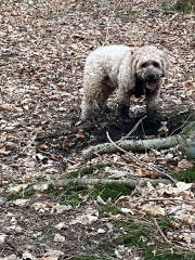 Daily Project round 7